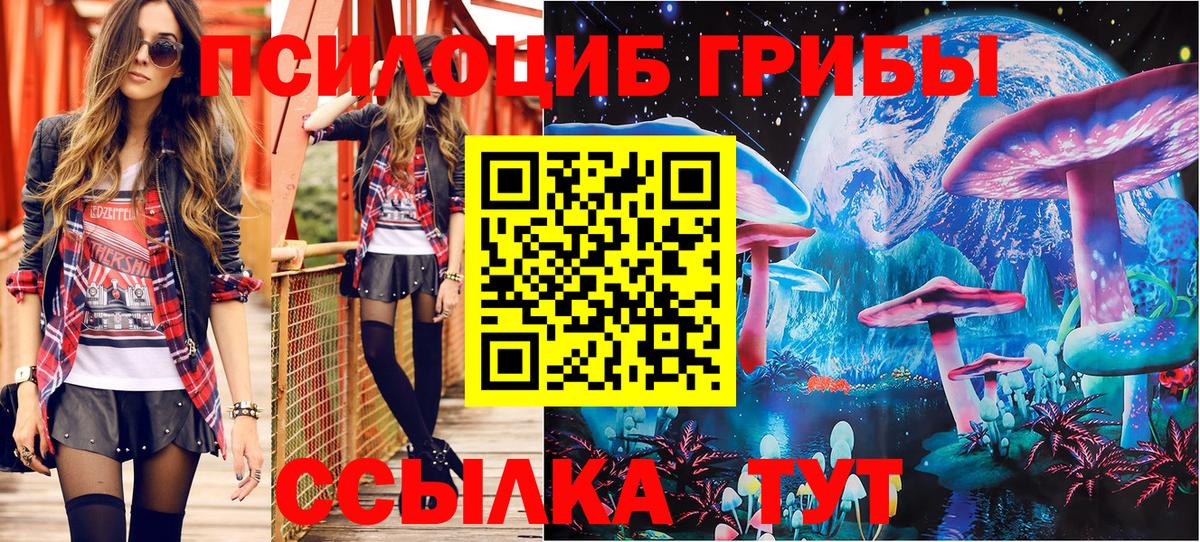 Псилоцибиновые грибы GOLDEN TEACHER Дедовск