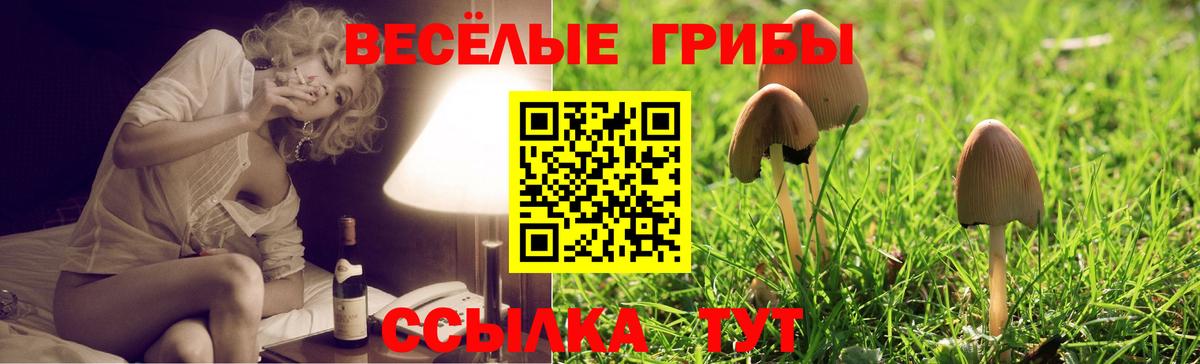 магазин продажи наркотиков  Вход с VPN  Дедовск  Псилоцибиновые грибы прущие грибы 
